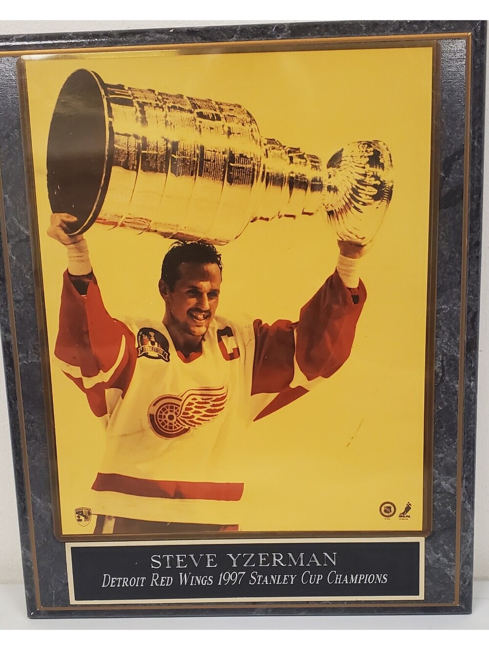 Steve Yzerman Detroit Red Wings 1997 Stanley Cup Champions Framed Photo Plaque - Picture 2 of 4